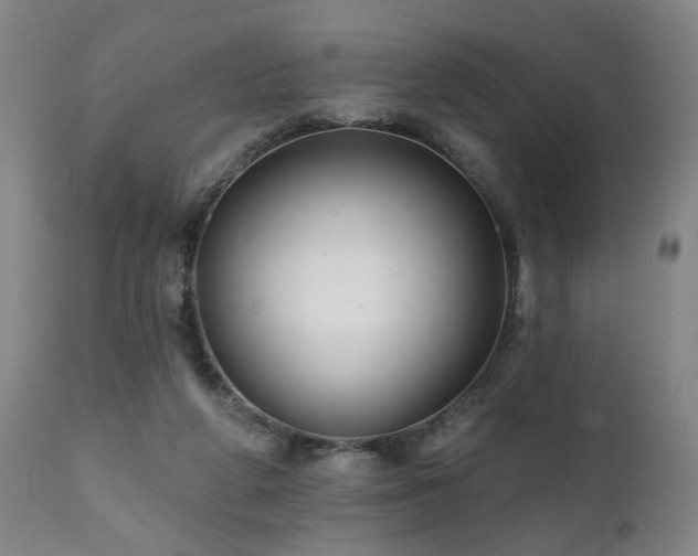 X0000112060210200908041222