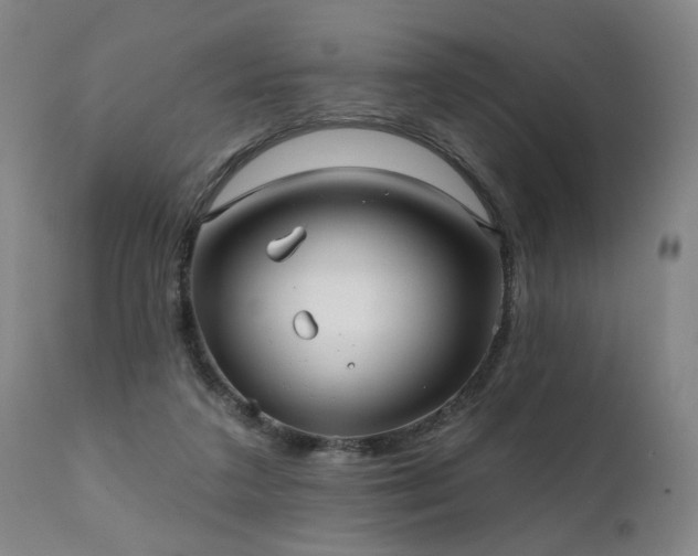 X0000112060211200908041222