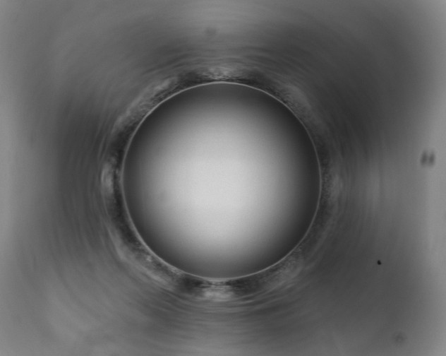 X0000112060214200908041222
