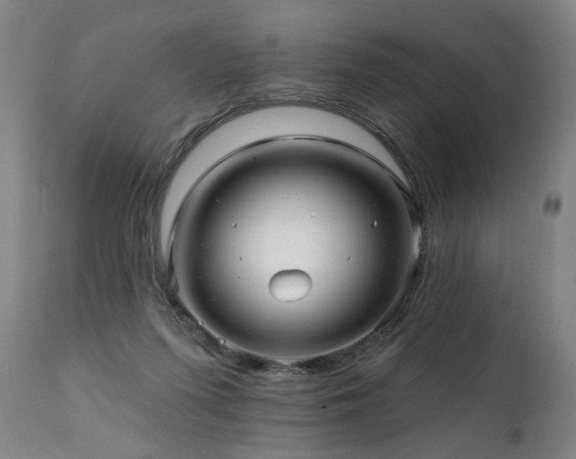 X0000112060215200908041222