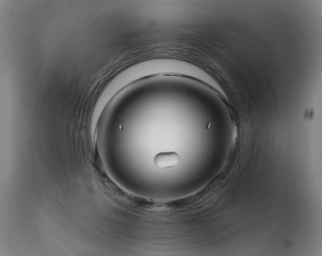 X0000112060217200908041222