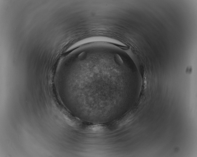 X0000112060219200908041222