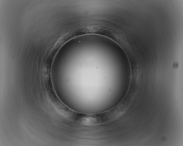 X0000112060220200908041222