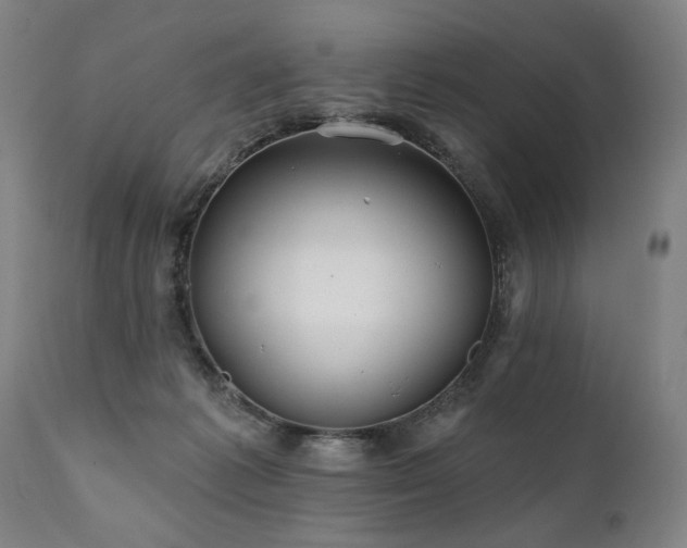 X0000112060221200908041222