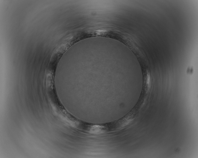 X0000112060222200908041222