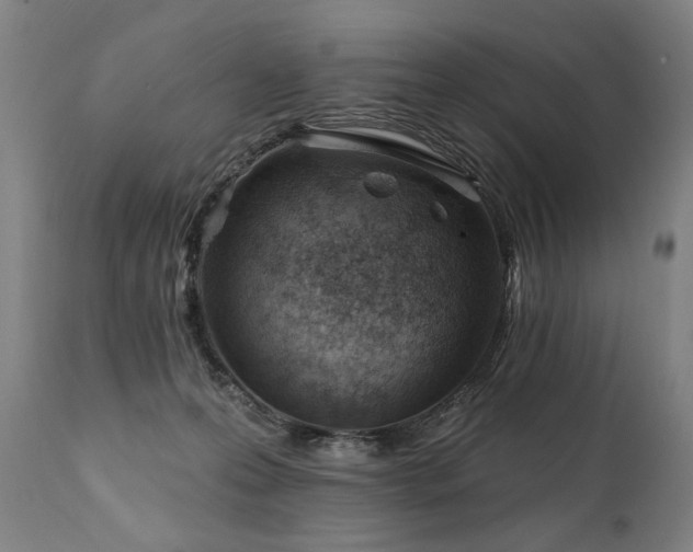 X0000112060223200908041222