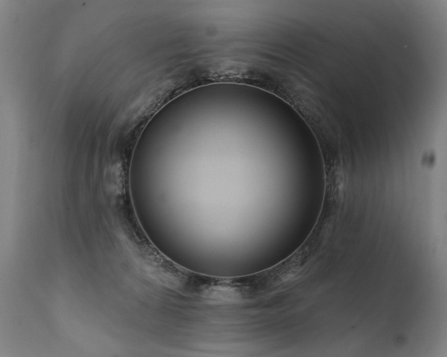 X0000112060224200908041222