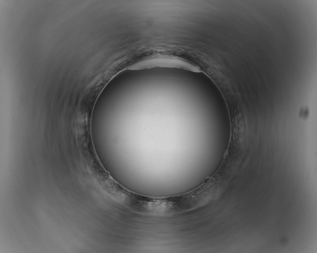 X0000112060225200908041222