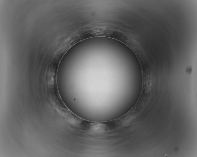 X0000112060226200908041222
