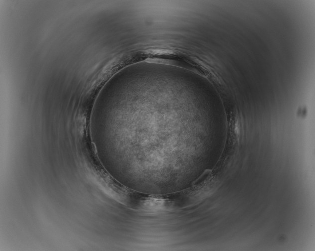 X0000112060227200908041222