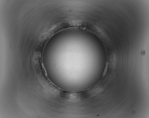 X0000112060229200908041222