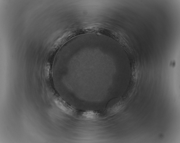 X0000112060231200908041222