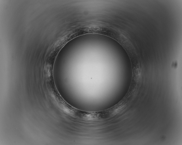 X0000112060232200908041222