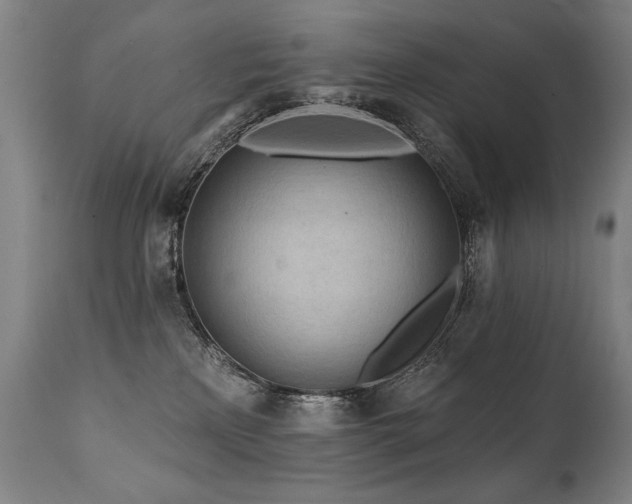 X0000112060233200908041222