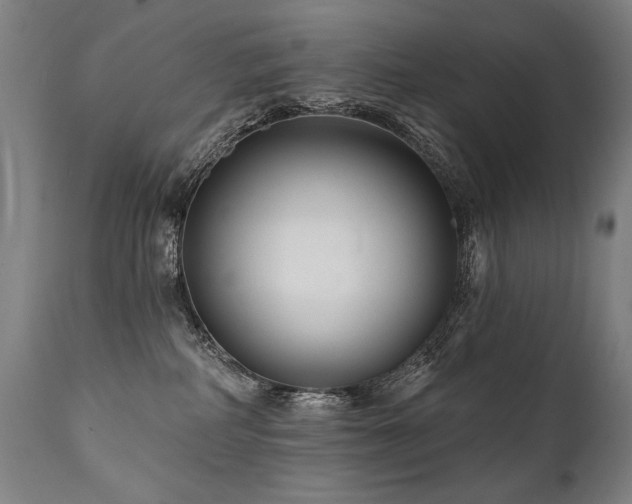 X0000112060234200908041222