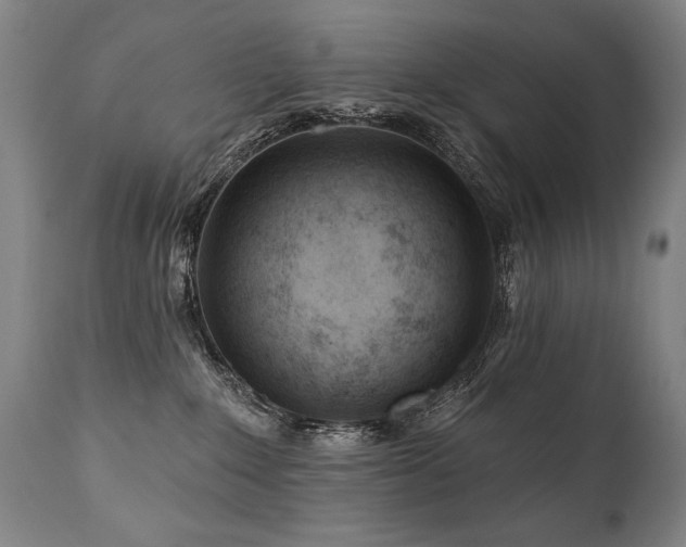 X0000112060235200908041222