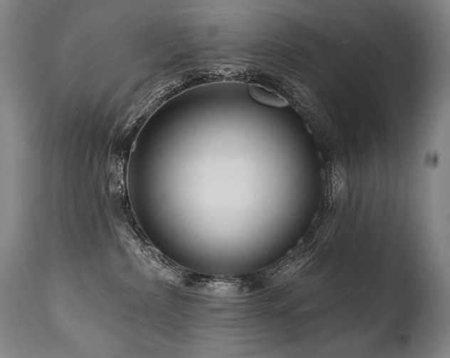 X0000112060236200908041222