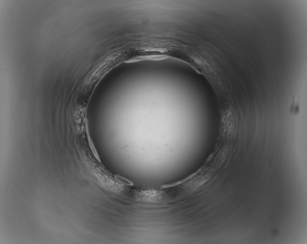 X0000112060237200908041222