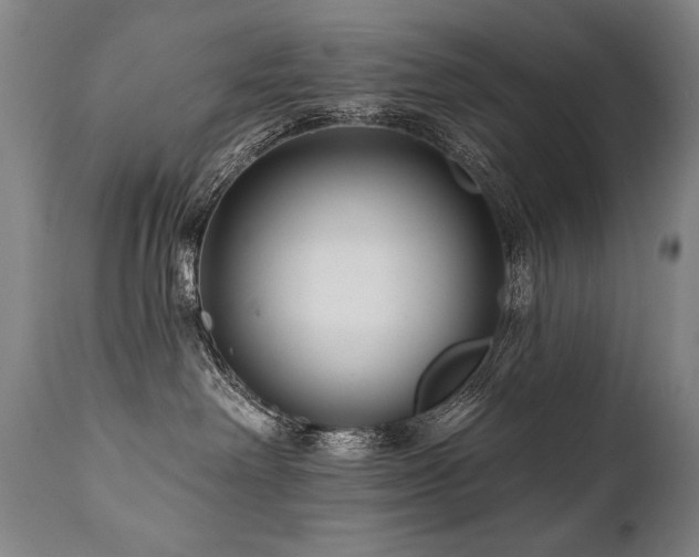 X0000112060238200908041222