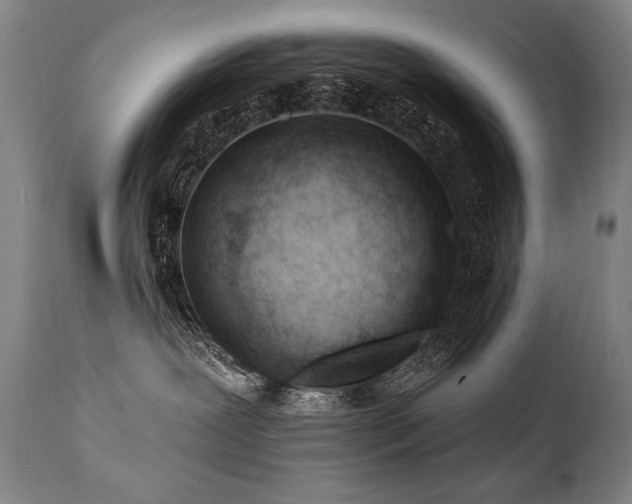 X0000112060239200908041222
