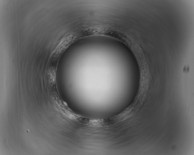 X0000112060240200908041222