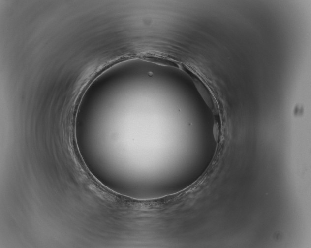 X0000112060241200908041221