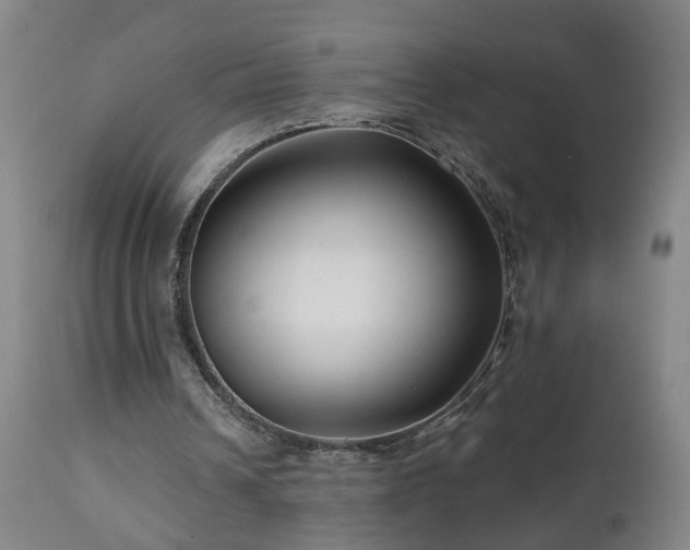 X0000112060242200908041221