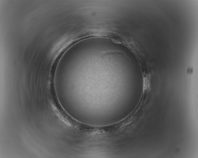 X0000112060243200908041221