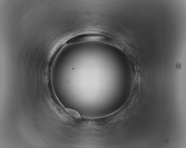 X0000112060244200908041221