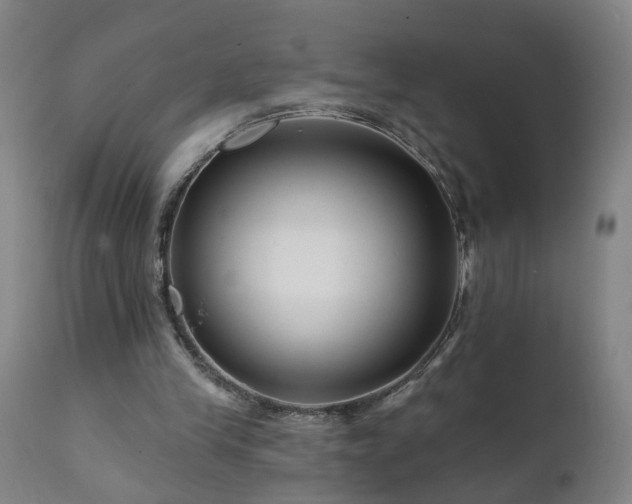 X0000112060245200908041221
