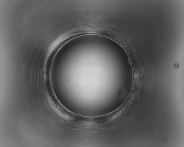 X0000112060246200908041221