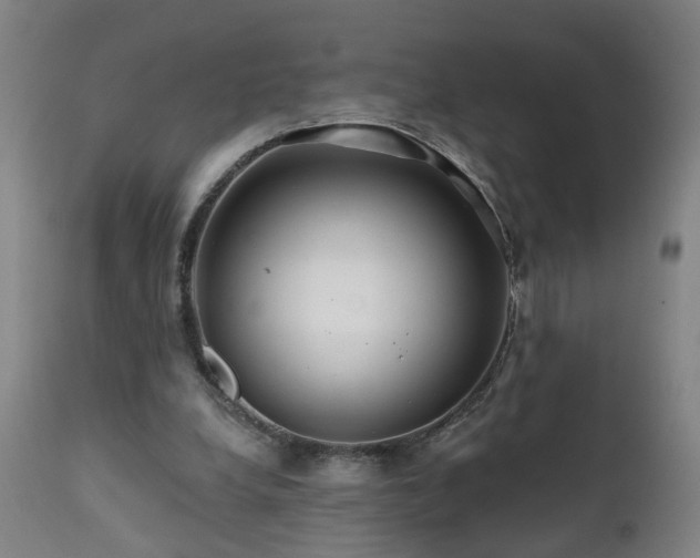 X0000112060248200908041221