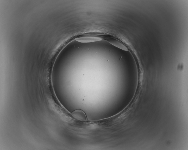 X0000112060249200908041221