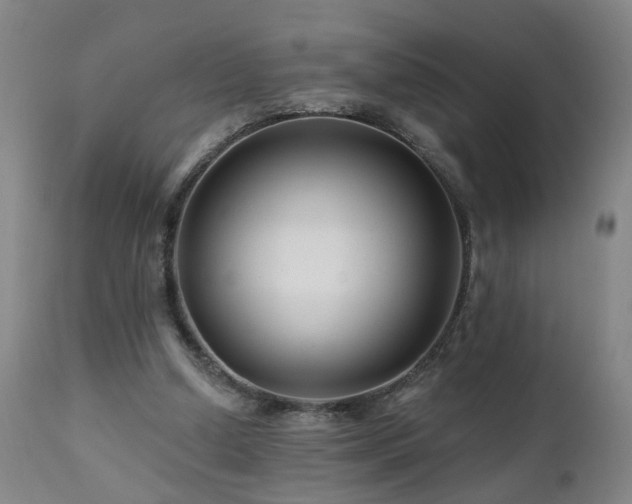 X0000112060250200908041221