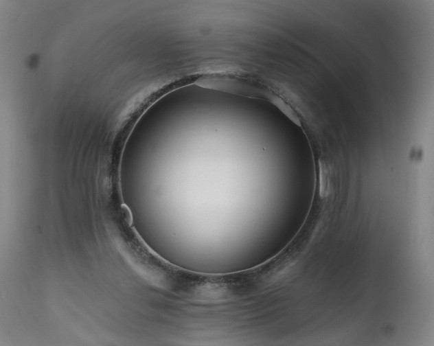 X0000112060252200908041221