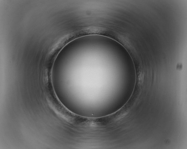 X0000112060254200908041221
