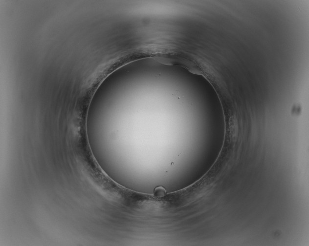 X0000112060255200908041221