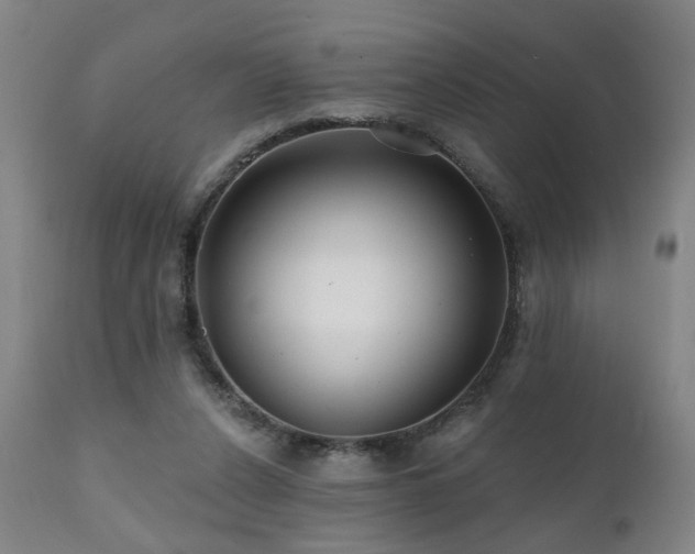 X0000112060256200908041221