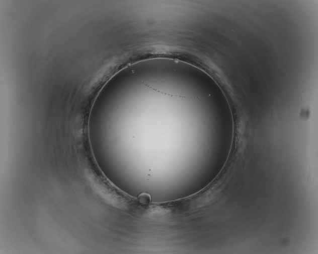 X0000112060257200908041221