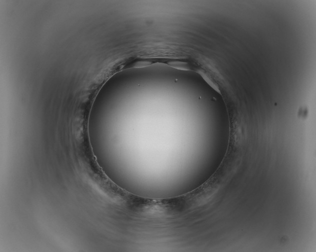 X0000112060259200908041221