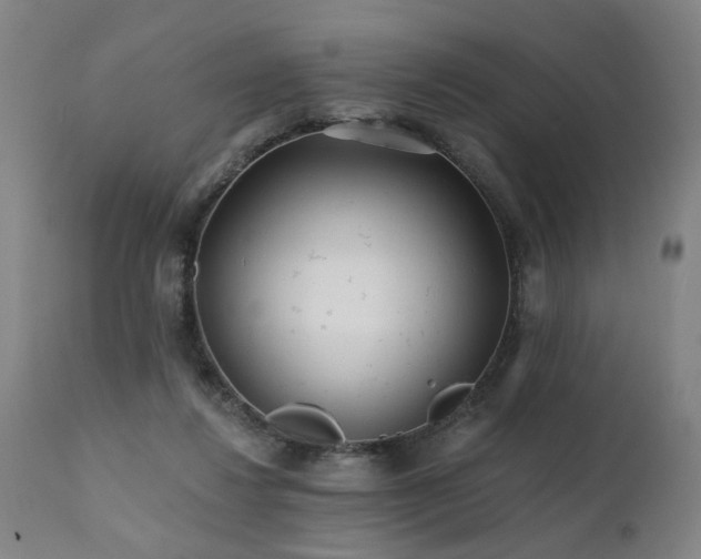 X0000112060260200908041221