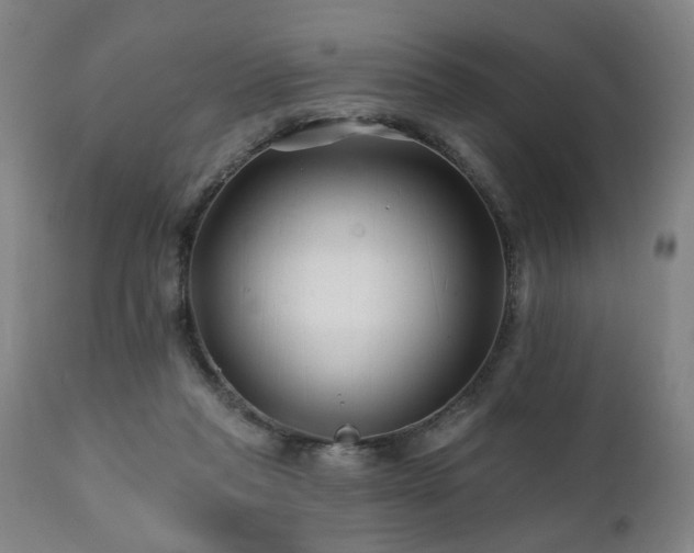 X0000112060261200908041221