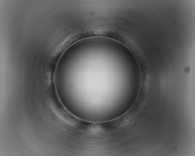 X0000112060262200908041221