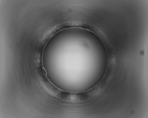 X0000112060264200908041221