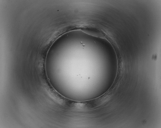 X0000112060265200908041221