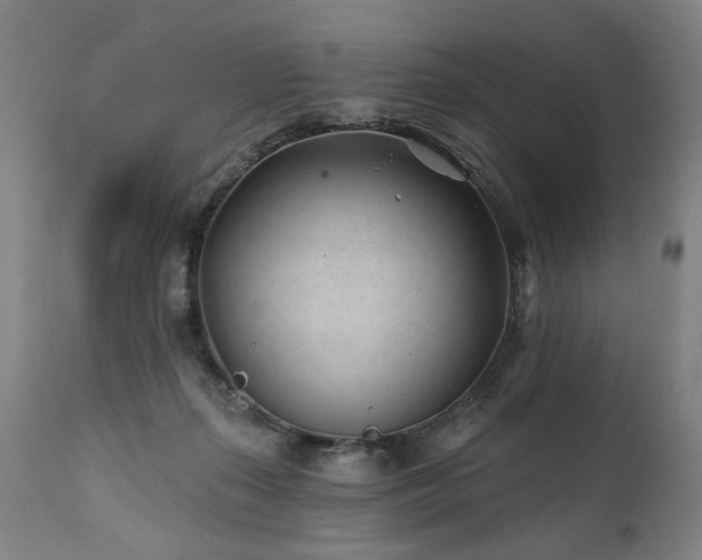 X0000112060267200908041221