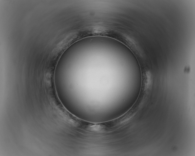 X0000112060269200908041221
