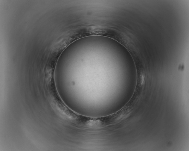 X0000112060271200908041222