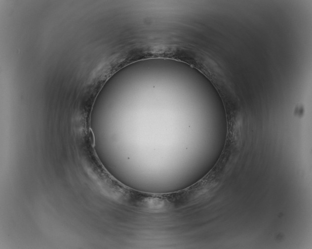 X0000112060272200908041222