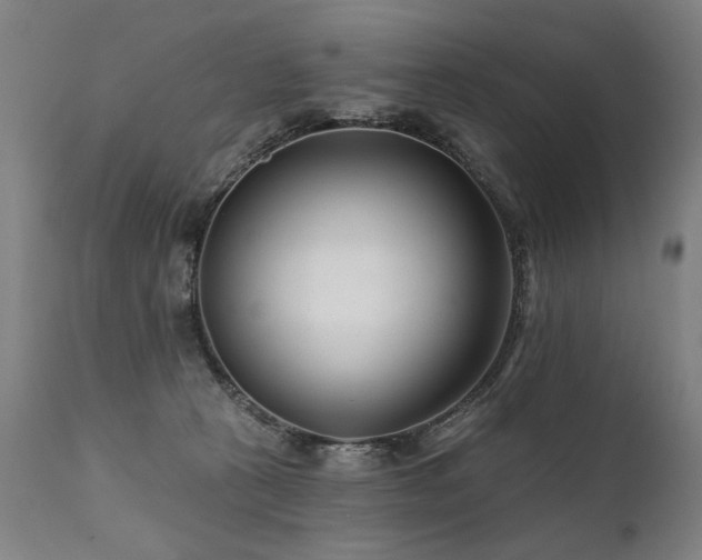 X0000112060273200908041222